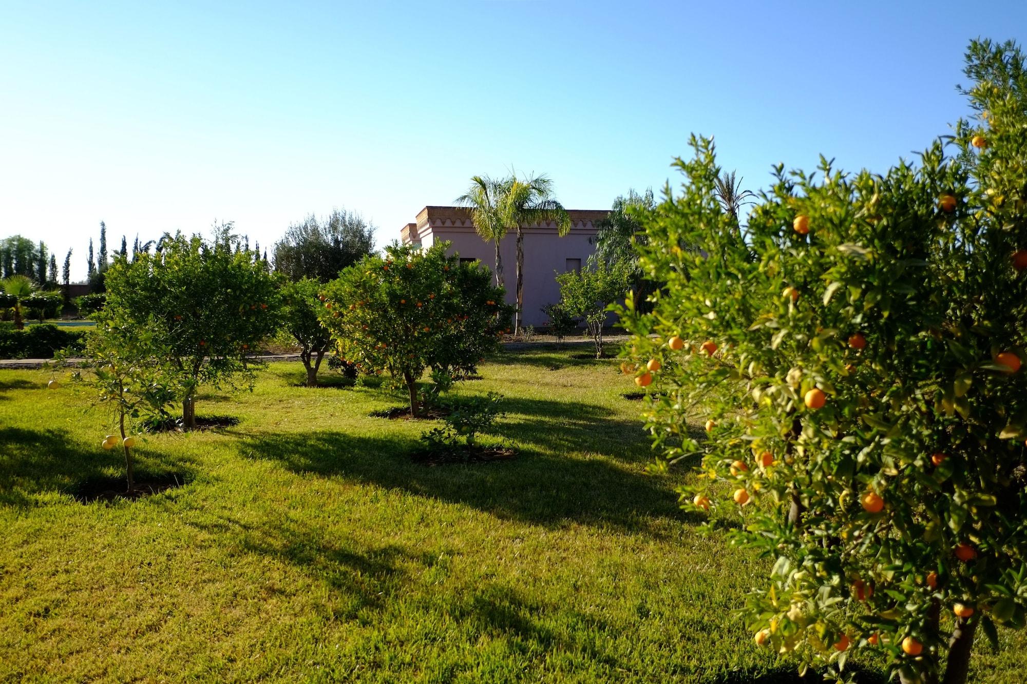 Bed and Breakfast Terra Mia Marrakech Ouled Jelal Экстерьер фото